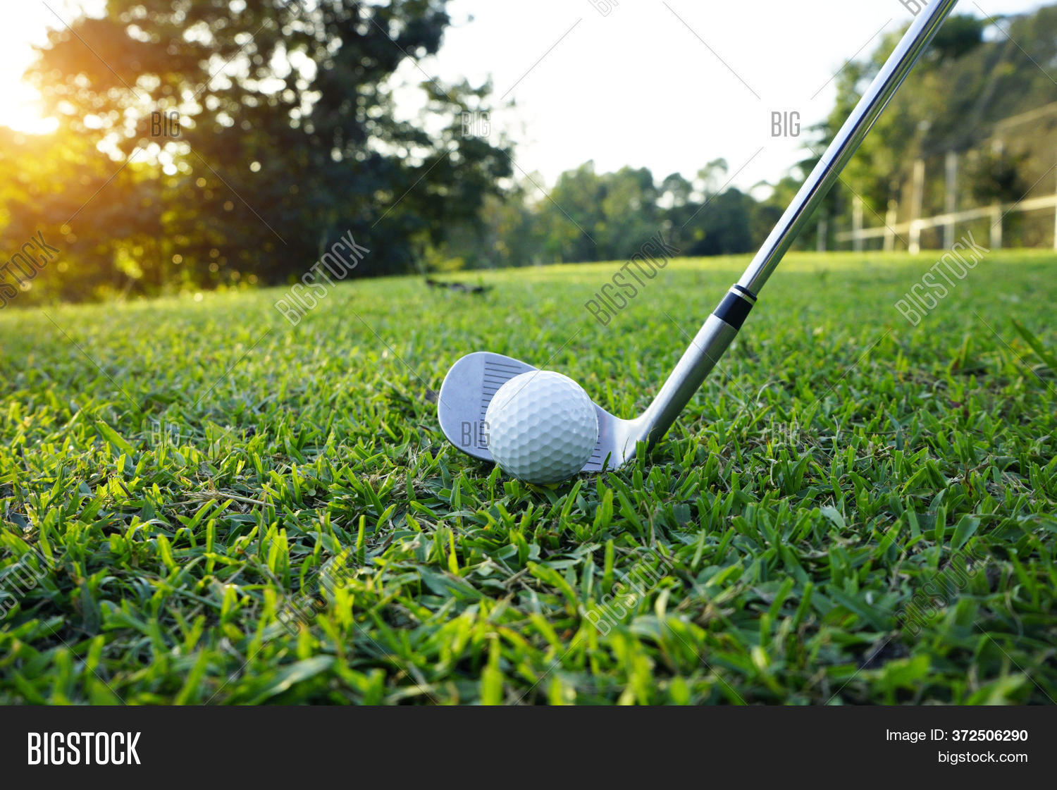 Golf Ball Golf Club Image & Photo (Free Trial) Bigstock