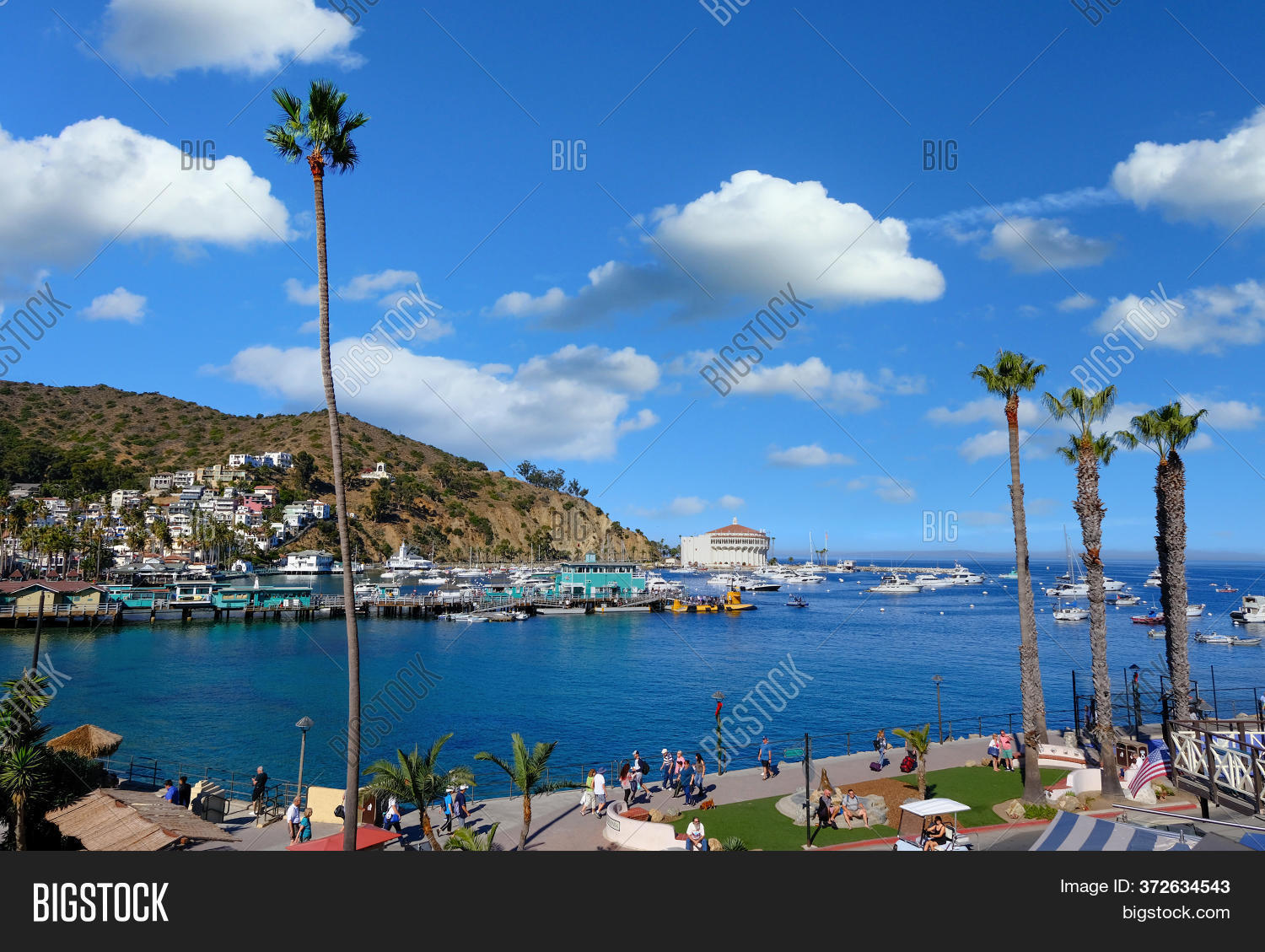 Avalon, California Image & Photo (Free Trial) Bigstock