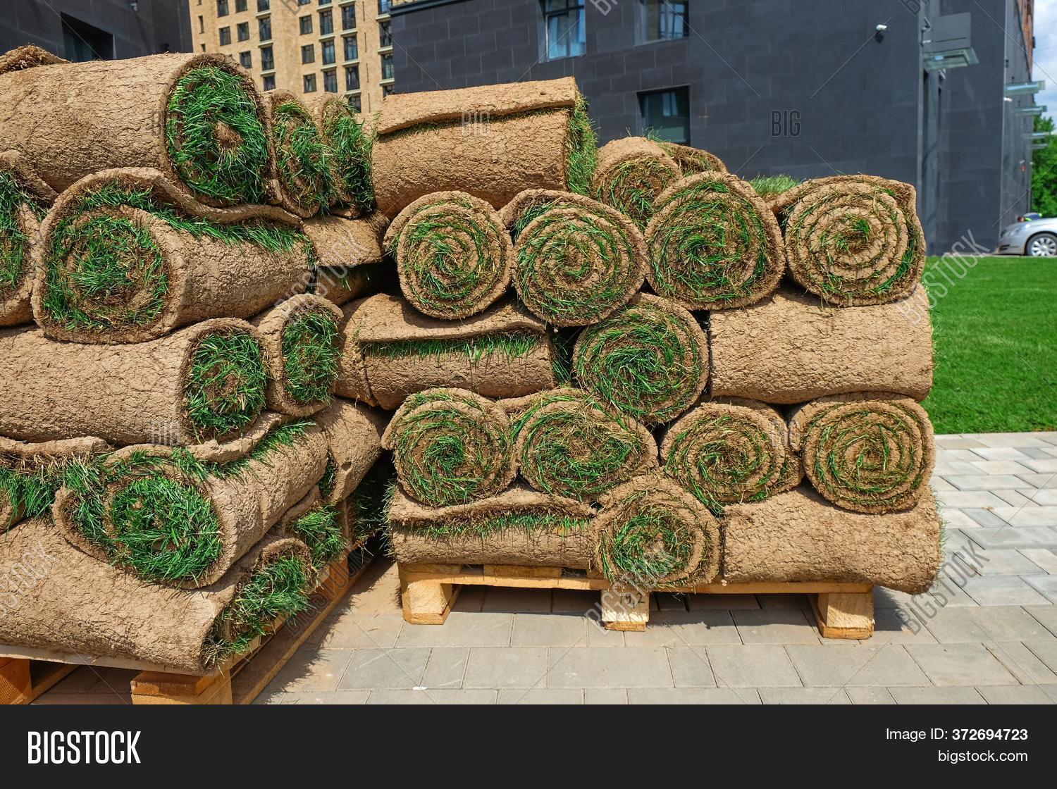 Pallets Sod Turf Grass Image & Photo (Free Trial) Bigstock
