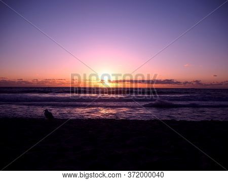 Sunset Australia Pink Sky Clouds Dusk Beach Pretty,  Western Australia