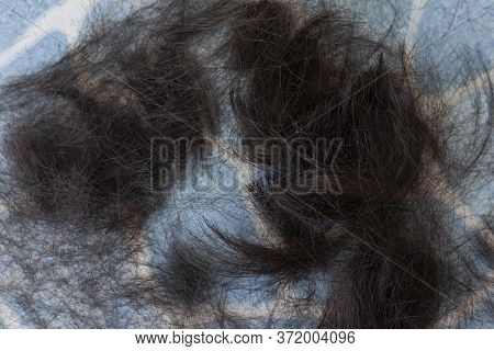 Cut Off Hair Dry And Split Ends At The Tile Floor In The Barber Shop.