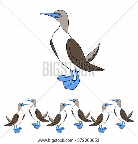 Cute Gannet With Blue Beak & Paws, Decorative Element Of Logo, Pattern Or Emblem, Color Vector Illus