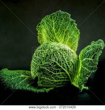 Cabbage Isolated On A Background. Agriculture. Healthy And Healthy Food For Humans. Selective Focus.