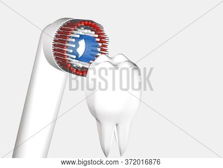 Electric Toothbrush With Model Tooth On A White Background With Copyspace Conceptual Of Dental Hygie