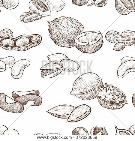 Vector Seamless Pattern With Drawing Nuts, Hand Drawn Illustration