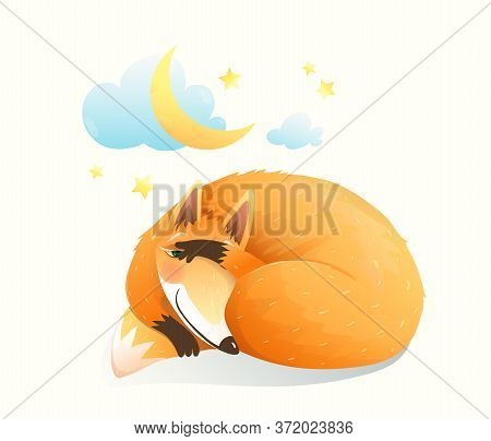 Cute Sly Red Fox Sleeping Under The Moon And Night Starry Sky, Baby Animal Sweet And Sleepy Cunning 