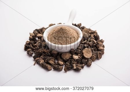 Black Musli / Moosli - Curculigo Orchioides Is An Indian Ayurvedic Herb