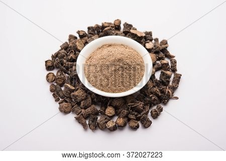 Black Musli / Moosli - Curculigo Orchioides Is An Indian Ayurvedic Herb