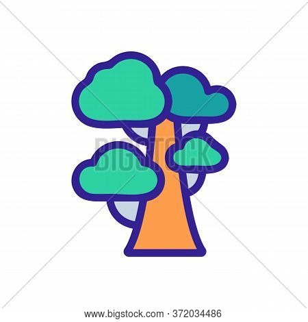Eucalyptus Tree Icon Vector. Eucalyptus Tree Sign. Color Symbol Illustration