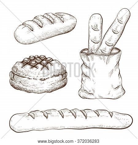 Hand Drawn Breads Set Isolated On White. Vector Vintage Illustration Of Variety Bread Like French Ba