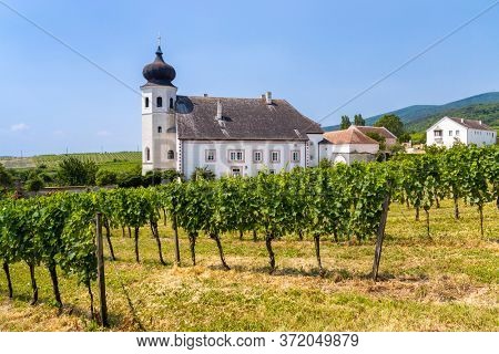 Monastery winery Thallern near Gumpoldskirchen, Lower Austria, Austria