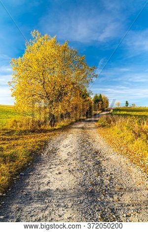 road with autumn tree near saddle Beskyd in Slovakia