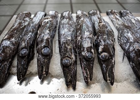 Fish On Market, Black Scabbard (espada) In Fish Market