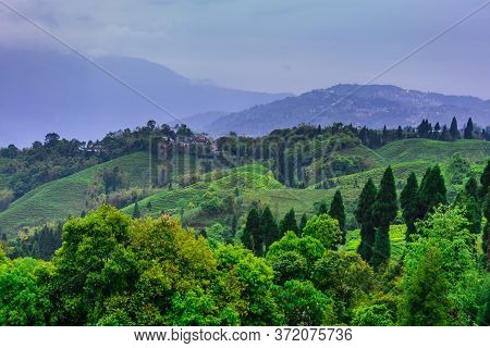 An Indian Tea Garden Amidst The Lap Of A Mountain. Distant Hills And Valleys Visible With Blue Sky