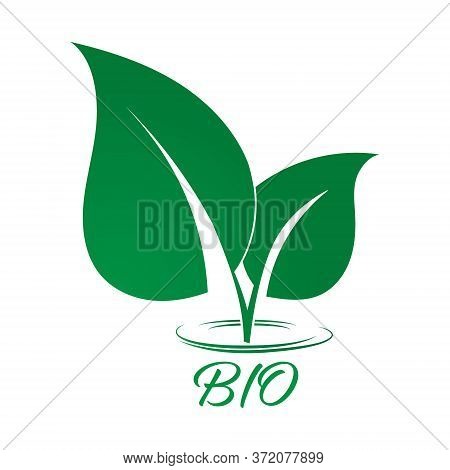 Two Green Leaves. A Simple Stylized Vector Illustration For A Logo, Label, Or Sticker With The Words
