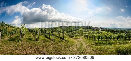 View Of Famous Wine Region Goriska Brda Hills In Slovenia.
