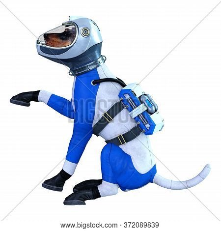 3D Rendering Astronaut Dog On White