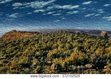 Altitude Landscape With Scrub And Shelter On The Way To The Summit Of Mount Kilimanjaro. This Tanzan