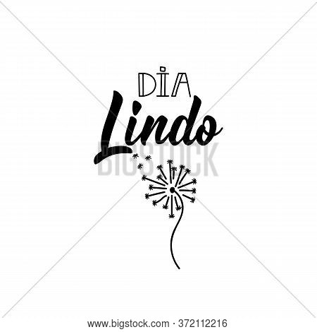 Brazilian Lettering. Translation From Portuguese - Beautiful Day. Modern Vector Brush Calligraphy. I