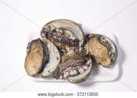 Raw Abalones On The White Background. Abalones