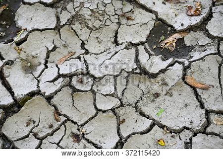 Caked Mud Breaking Up On A Forest Floor.