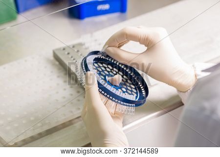 Dna Analysis On Medical Devices In The Hands Of A Physician With Gloves In The Process Of Installati