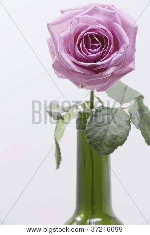 eine einsame Blume