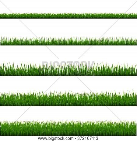 Green Grass Frame Set And Isolated White Background, Vector Illustration