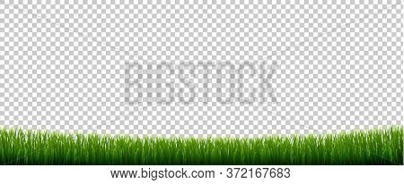 Green Grass Border With Isolated Transparent Background, Vector Illustration