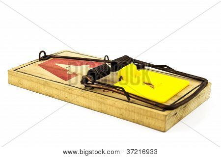 Rat Trap