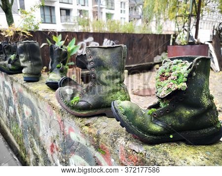 Upcycle Old Things Creatively Succulent Plants And Moss And Wild Plants Growing In Upcycled Old Leat