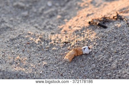Old And Weathered Cigarette Butt Abandoned On The Beach. The Cigarette Butt Is Laying On The Sand An