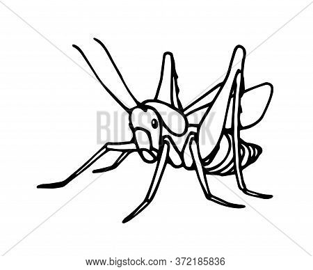 Grasshopper Contour.eps