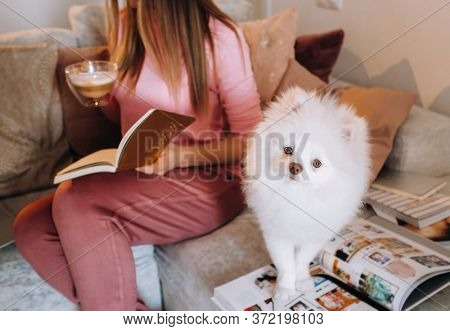 A Girl In Pajamas At Home Reads A Book With Her Dog Spitzer, The Dog And Its Owner Are Resting On Th