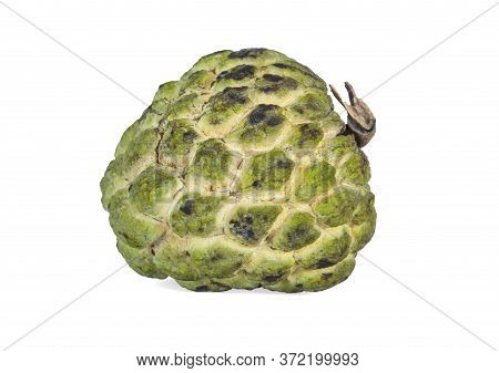 Sugar Apple Is A Bomb Shape Fruit With Rough Green Skin, Isolated On White Background, Dicut With Cl
