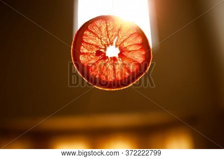 A Piece Of Dried Grapefruit In Intence Sunlight. Beautiful Backlight And Sunray.