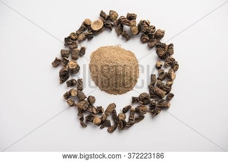 Black Musli / Moosli - Curculigo Orchioides Is An Indian Ayurvedic Herb