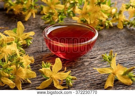 A Bowl Of Red Oil Made From St. John's Wort Flowers
