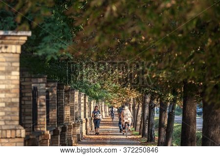 Pancevo, Serbia - September 8, 2018: Sidewalk Of The City Park Of Pancevo, Surrounded By Green Trees