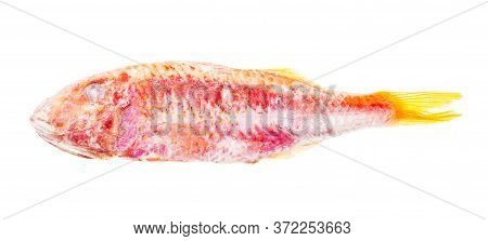 Quick-frozen Red Mullet Fish Isolated On White Background
