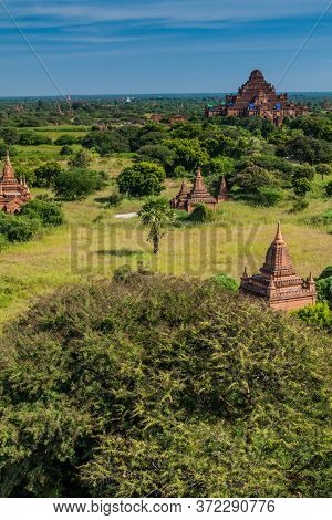 Skyline Of Bagan Temples, Myanmar. Dhammayangyi Temple On The Right.