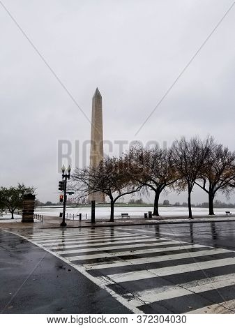 Washington Monument Across The Street On A Rainy Day, Behind The Trees And Traffic Signal, Washingto