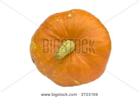 Halloween-Serie auf weiß