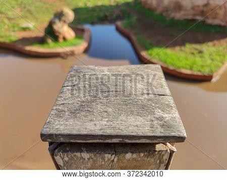 A Beautiful Peace Of Wood In Front Of The Lake