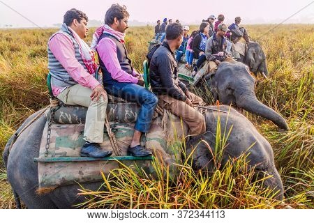 Kaziranga, India - January 30, 2017: Tourists During The Elephant Safari In Kaziranga National Park,