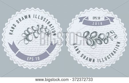 Monochrome Labels Design With Illustration Of Kalanchoe Stock Illustration