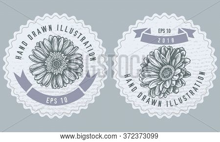 Monochrome Labels Design With Illustration Of Gerbera Stock Illustration