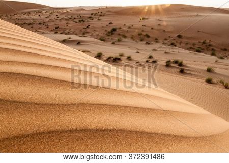 Sand Dunes Of Sharqiya Wahiba Sands, Oman