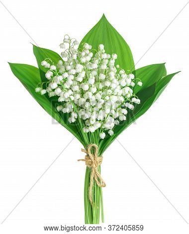 Lilly Of The Valley Flowers Isolated On White Background With Clipping Path And Full Depth Of Field