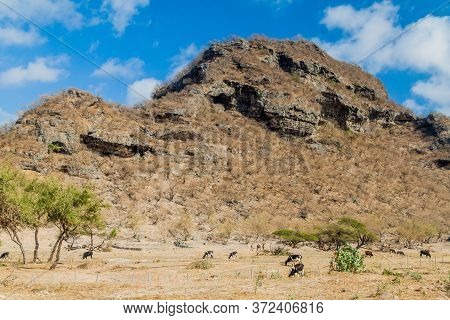 View Of Wadi Dharbat Near Salalah, Oman